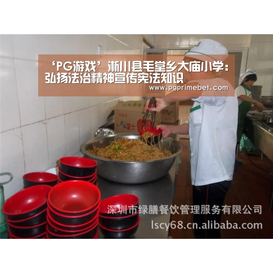 ‘PG游戏’淅川县毛堂乡大庙小学:弘扬法治精神宣传宪法知识(图3) PG畅玩