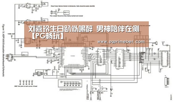 刘嘉玲生日趴似喝醉 男神陪伴在侧【PG畅玩】(图3) PG畅玩