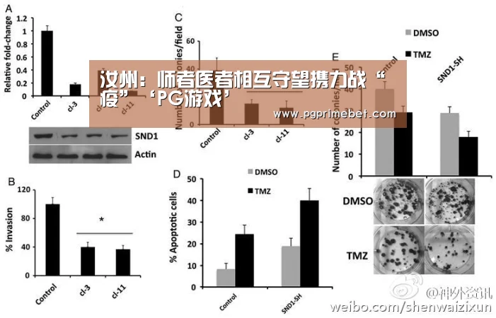 汝州:师者医者相互守望携力战“疫”‘PG游戏’(图4) PG畅玩