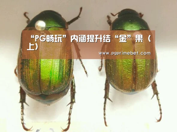 “PG畅玩”内涵提升结“金”果(上)(图3) PG品牌
