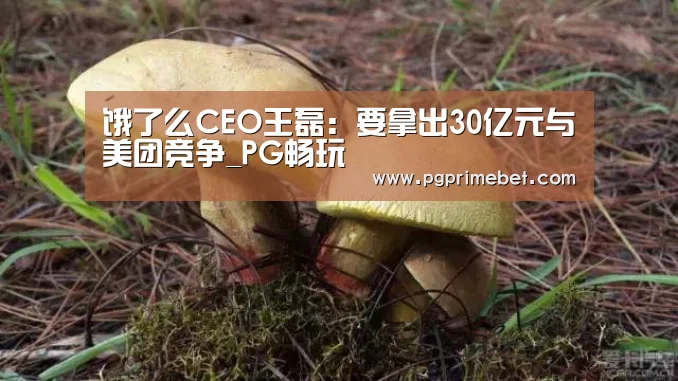 PG平台