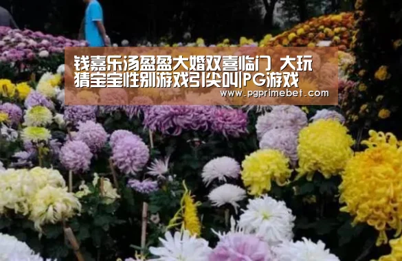 钱嘉乐汤盈盈大婚双喜临门 大玩猜宝宝性别游戏引尖叫|PG游戏(图3) PG畅玩