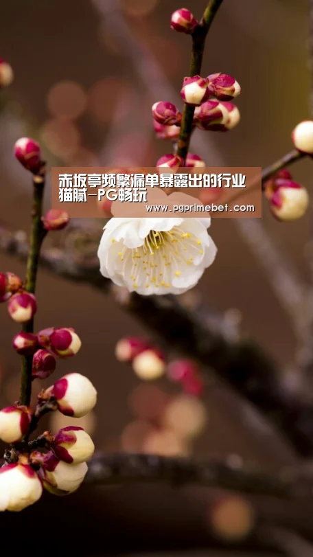 PG畅玩