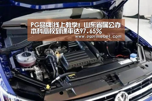 PG品牌|线上教学!山东省属公办本科高校到课率达97.65%(图3) PG畅玩