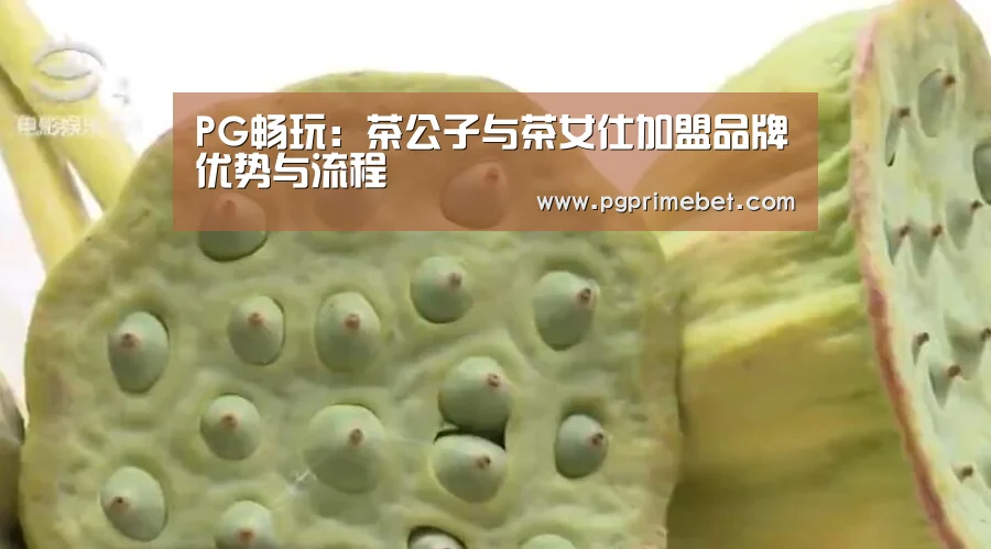 PG畅玩:茶公子与茶女仕加盟品牌优势与流程(图2) PG平台