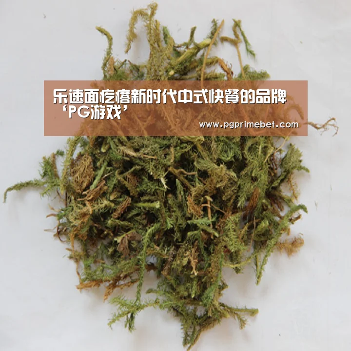 乐速面疙瘩新时代中式快餐的品牌‘PG游戏’(图1) PG品牌