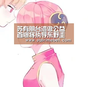 苏有朋台湾做公益首爆将执导东野圭吾经典Ip‘PG游戏’(图1) PG平台